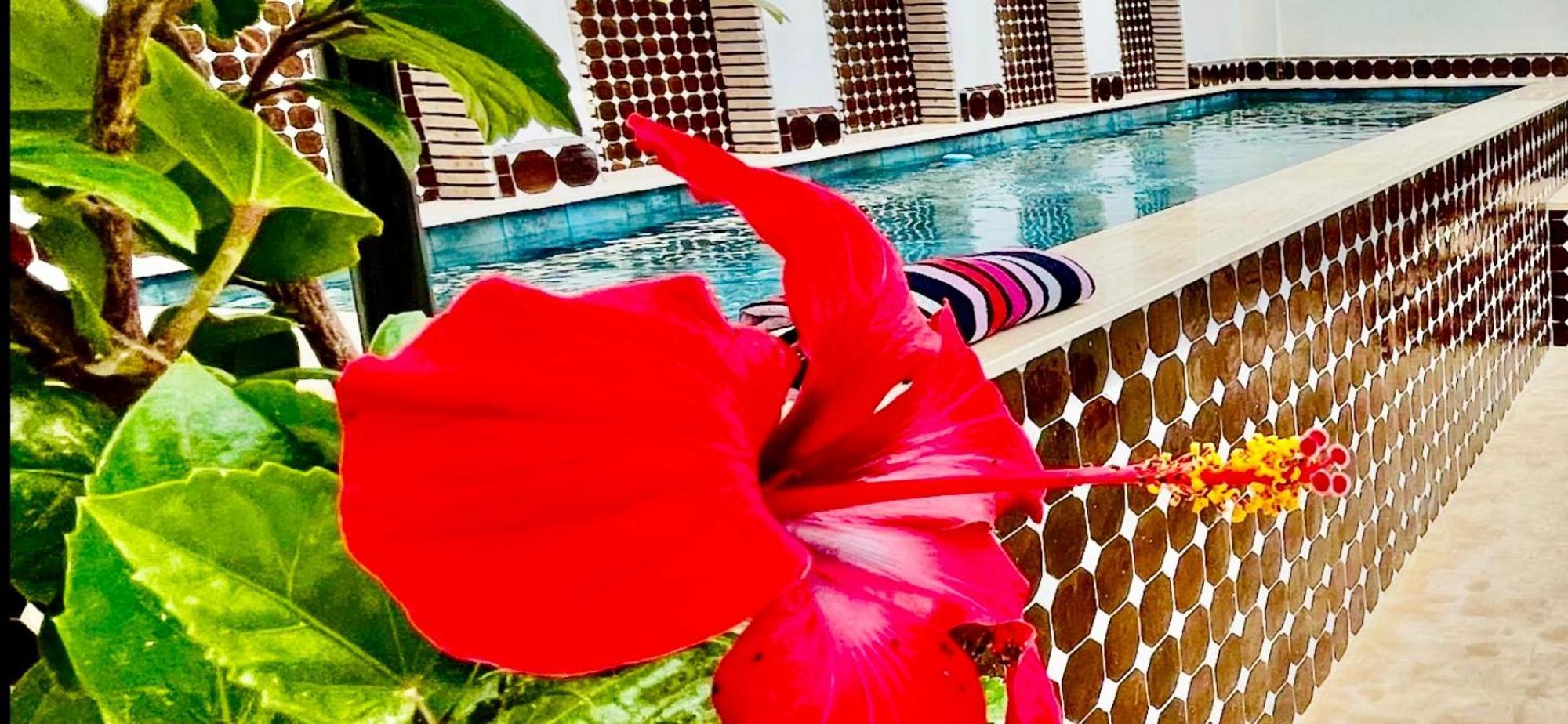 Dar Najat Hotel มาร์ราเกช ภายนอก รูปภาพ